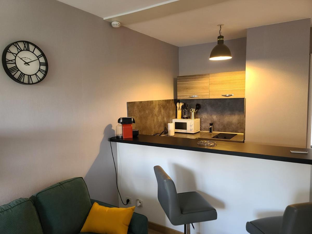 Magnifique Studio 26M2 Belfort Exterior photo
